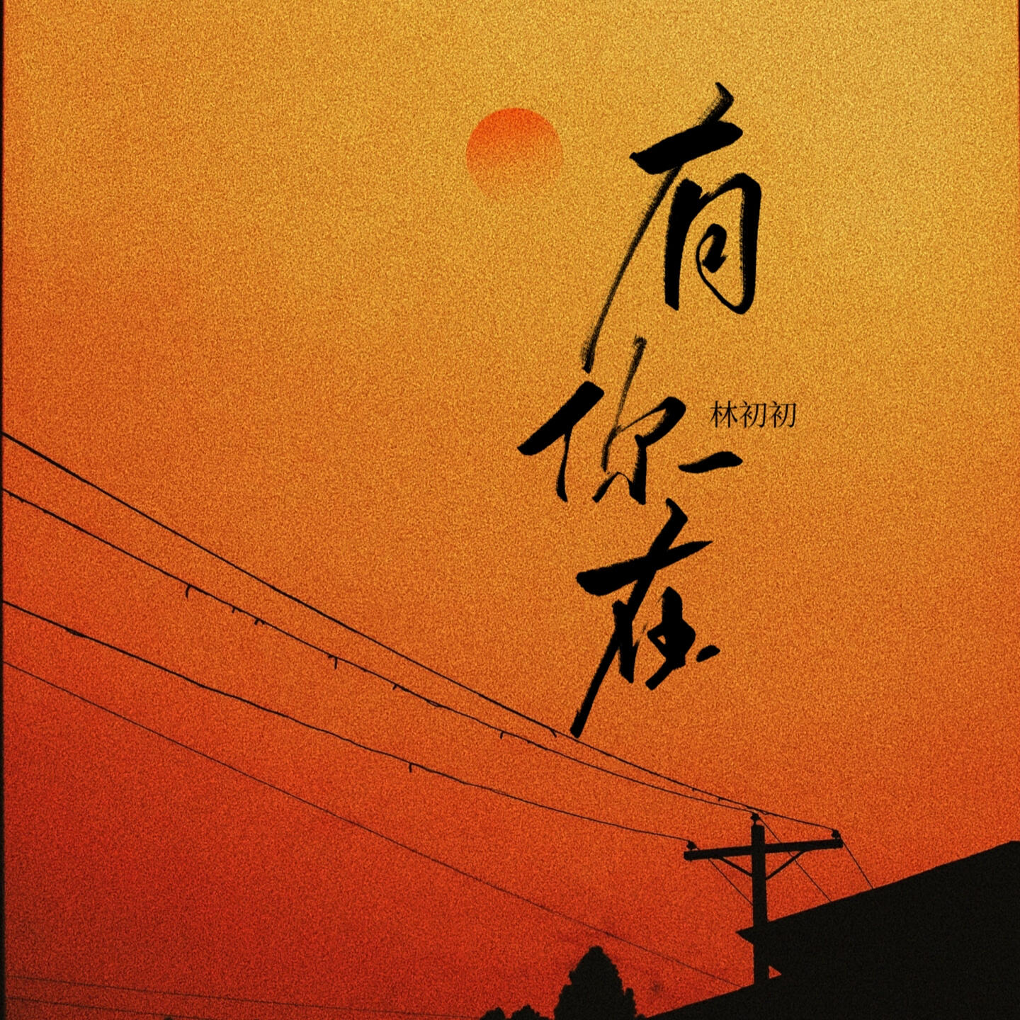 林初初
