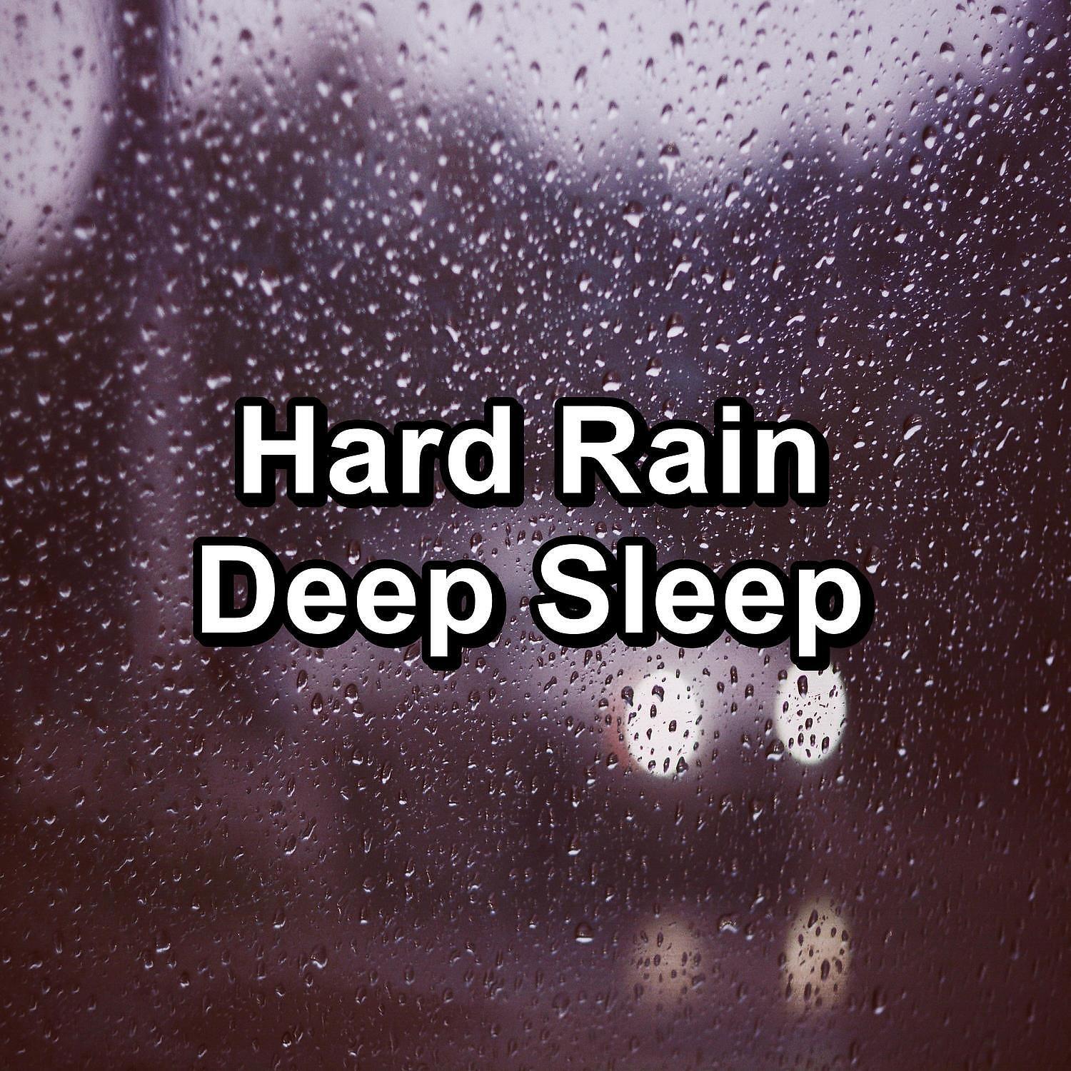 Постер альбома Hard Rain Deep Sleep