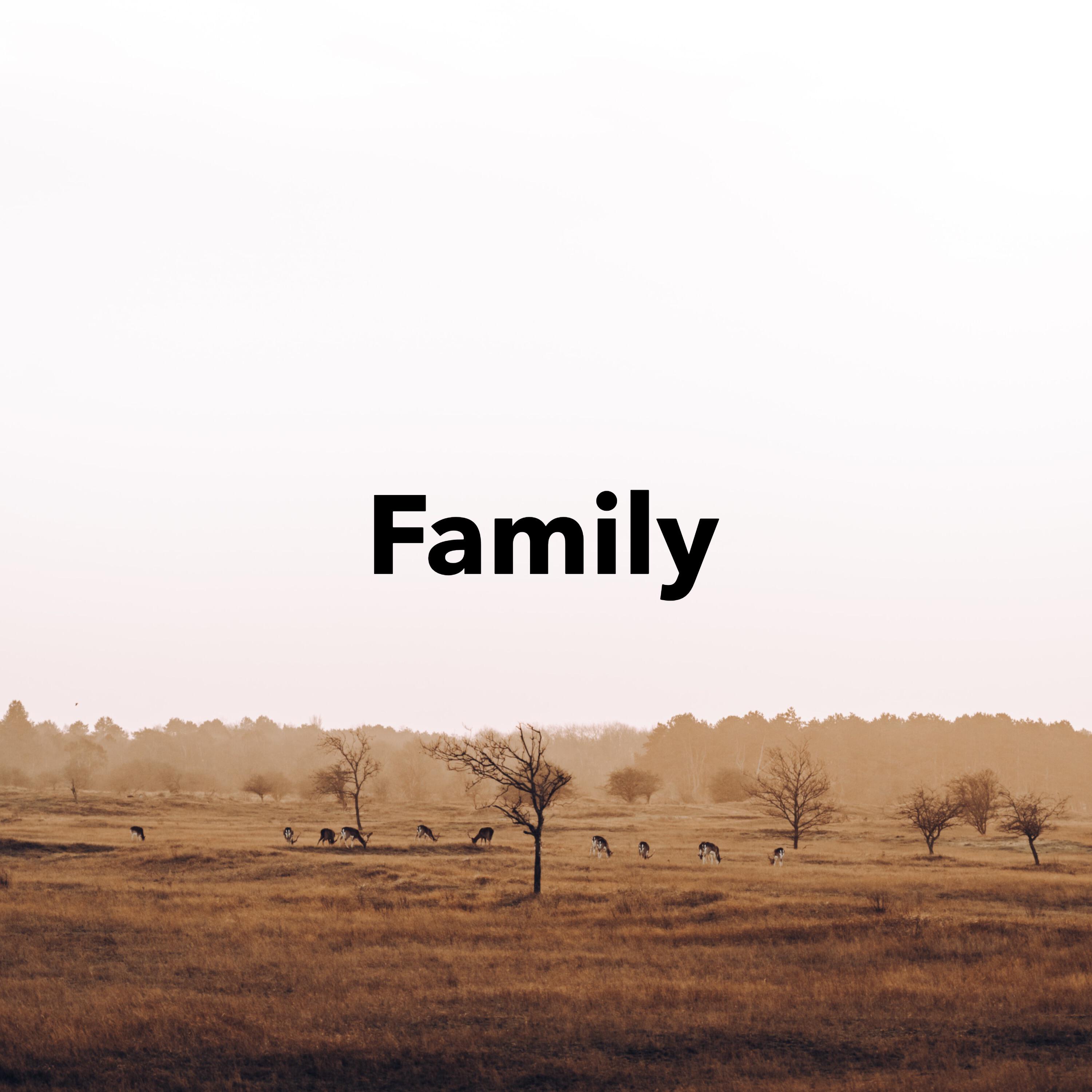 Релиз Family