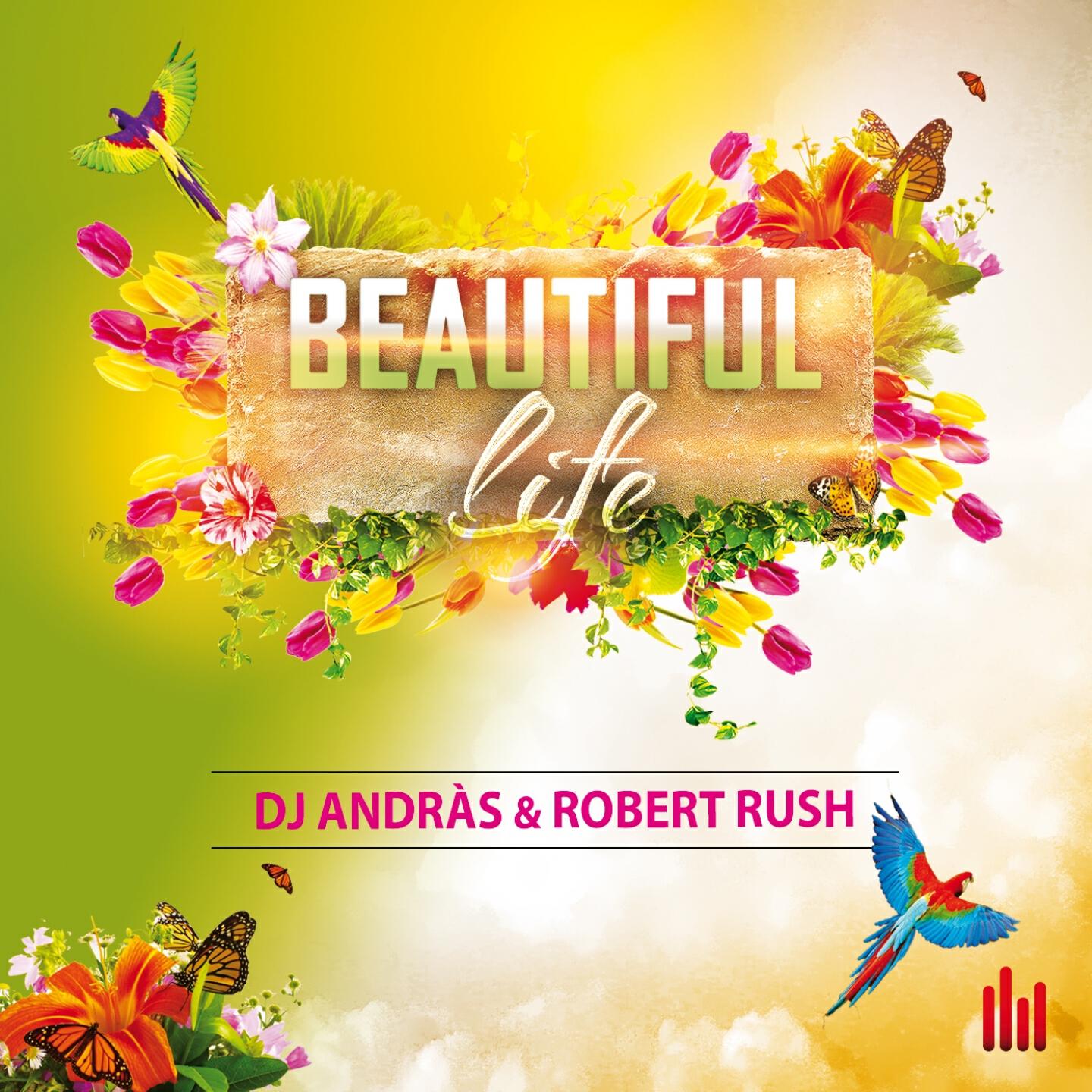 Релиз Beautiful Life