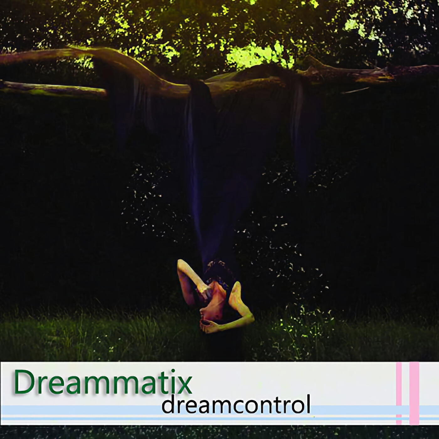 Релиз Dreamcontrol