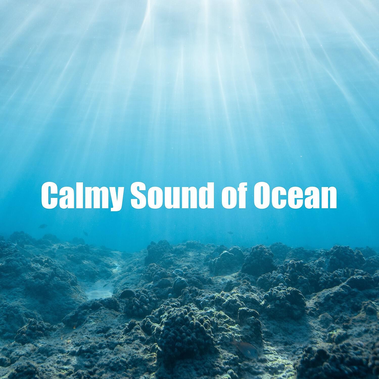 Релиз Calmy Sound of Ocean