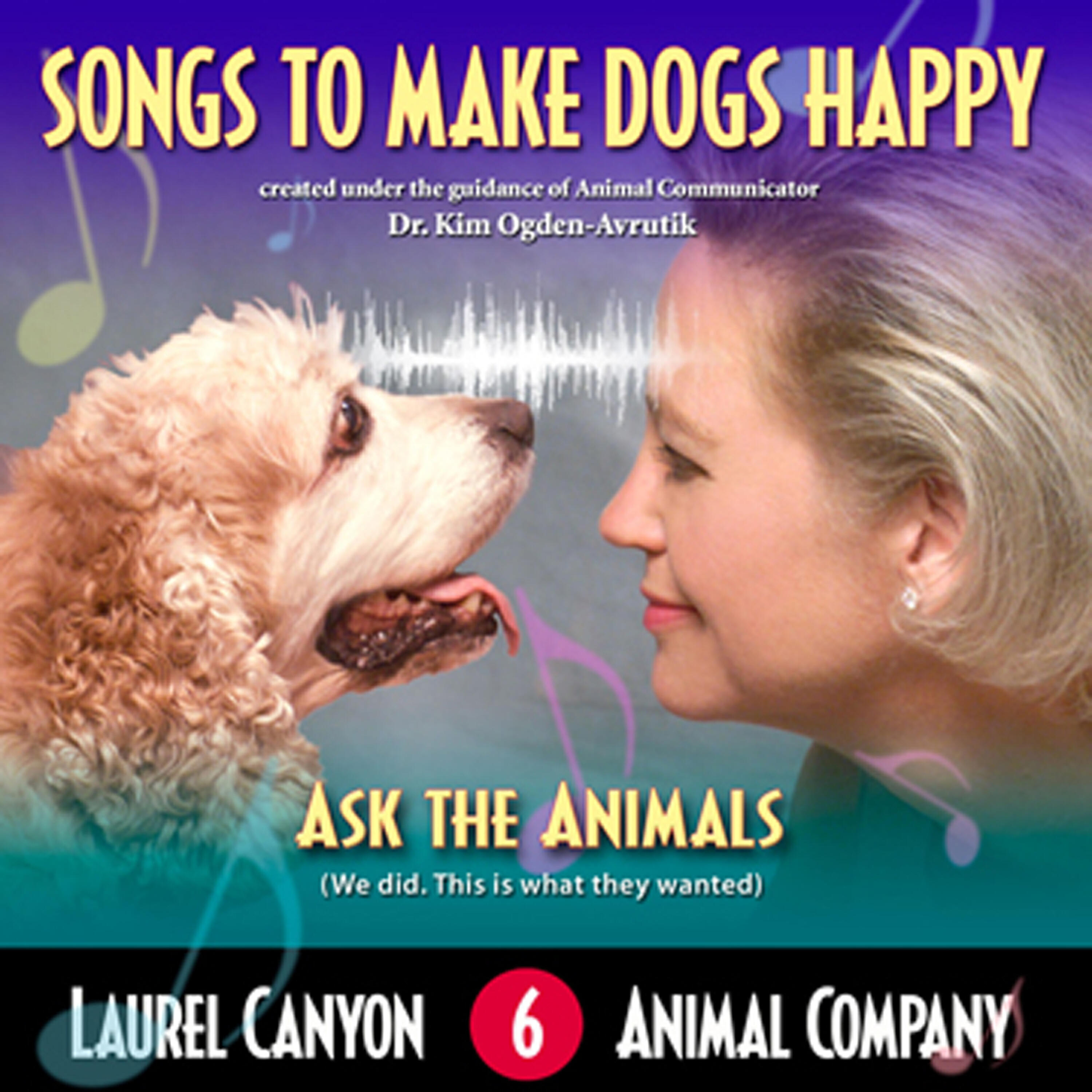 Релиз Songs To Make Dogs Happy
