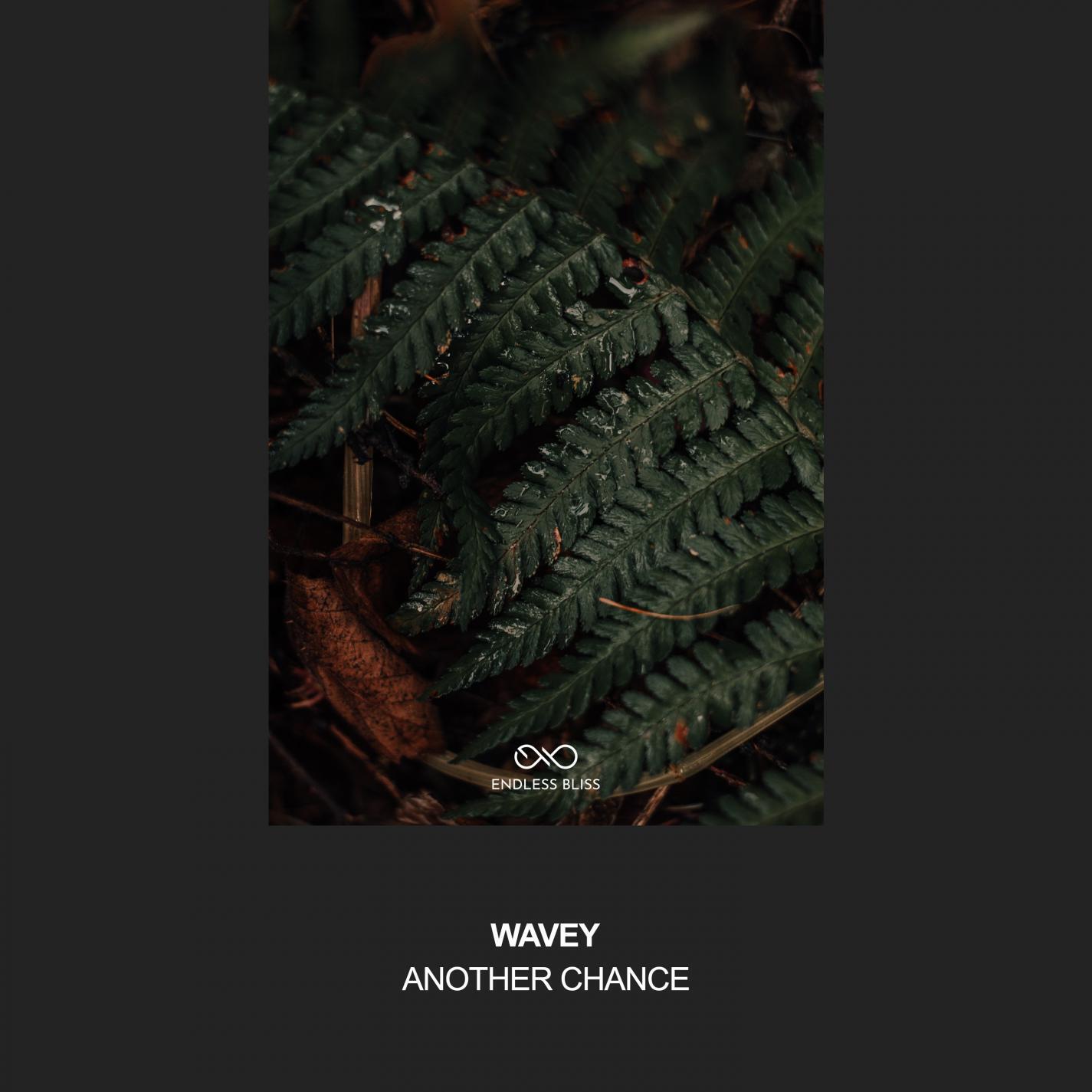 Релиз Another Chance