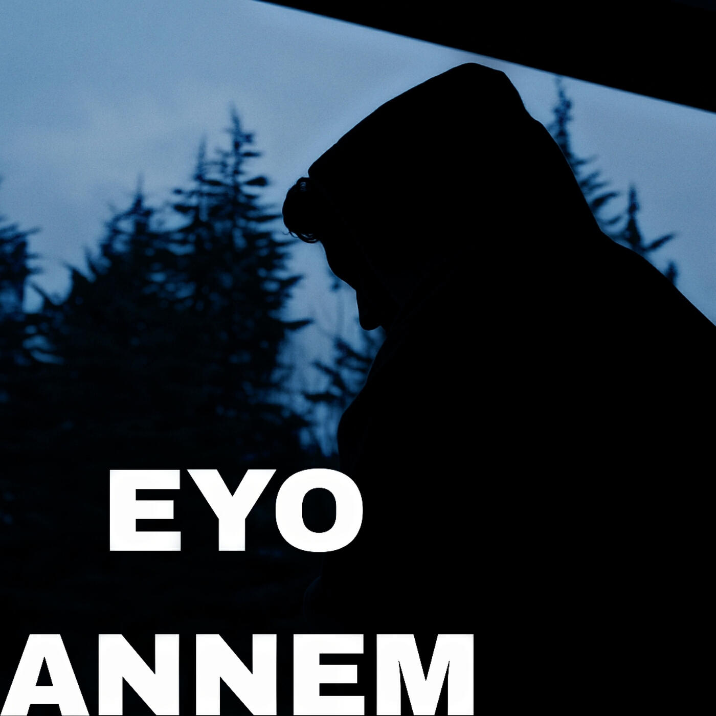 Релиз Annem