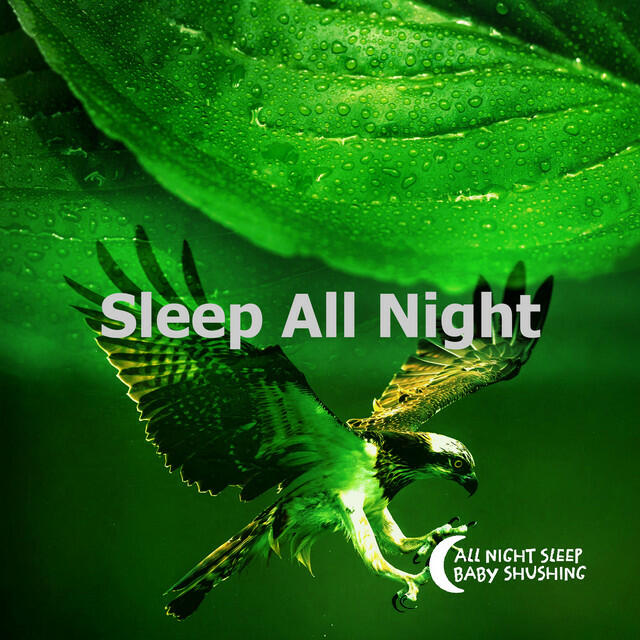 Релиз Sleep All Night