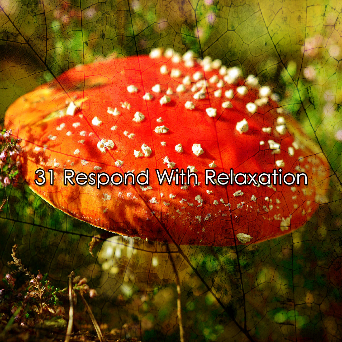 Relaxing Music 101