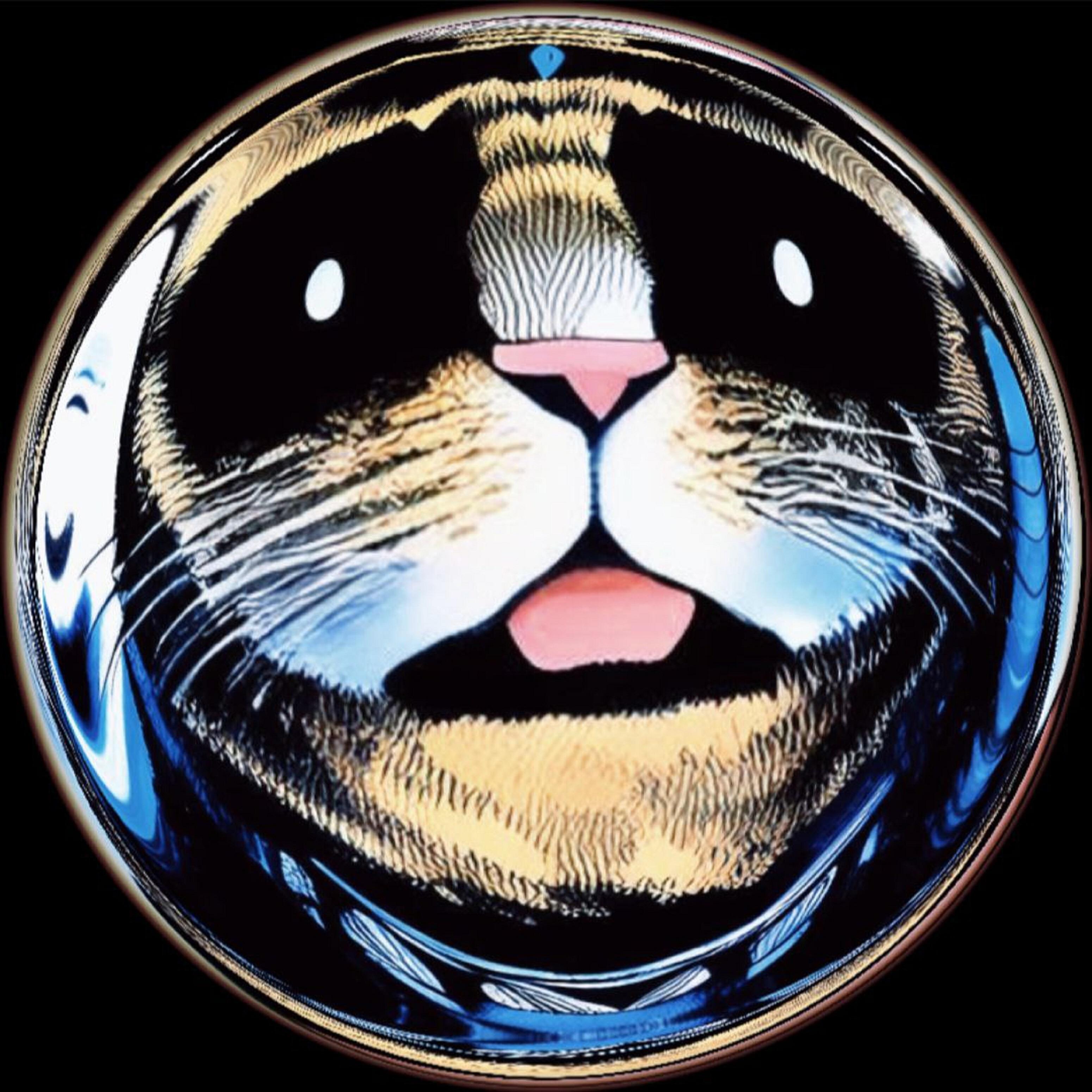 Релиз Peephole