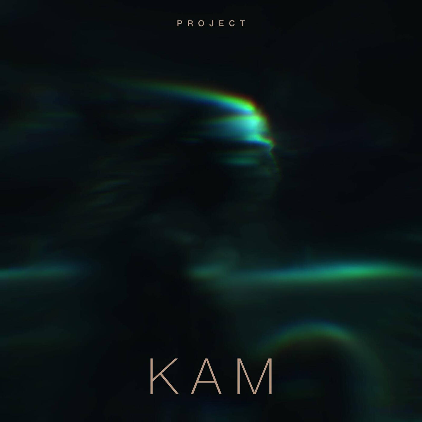 Релиз Project Kam
