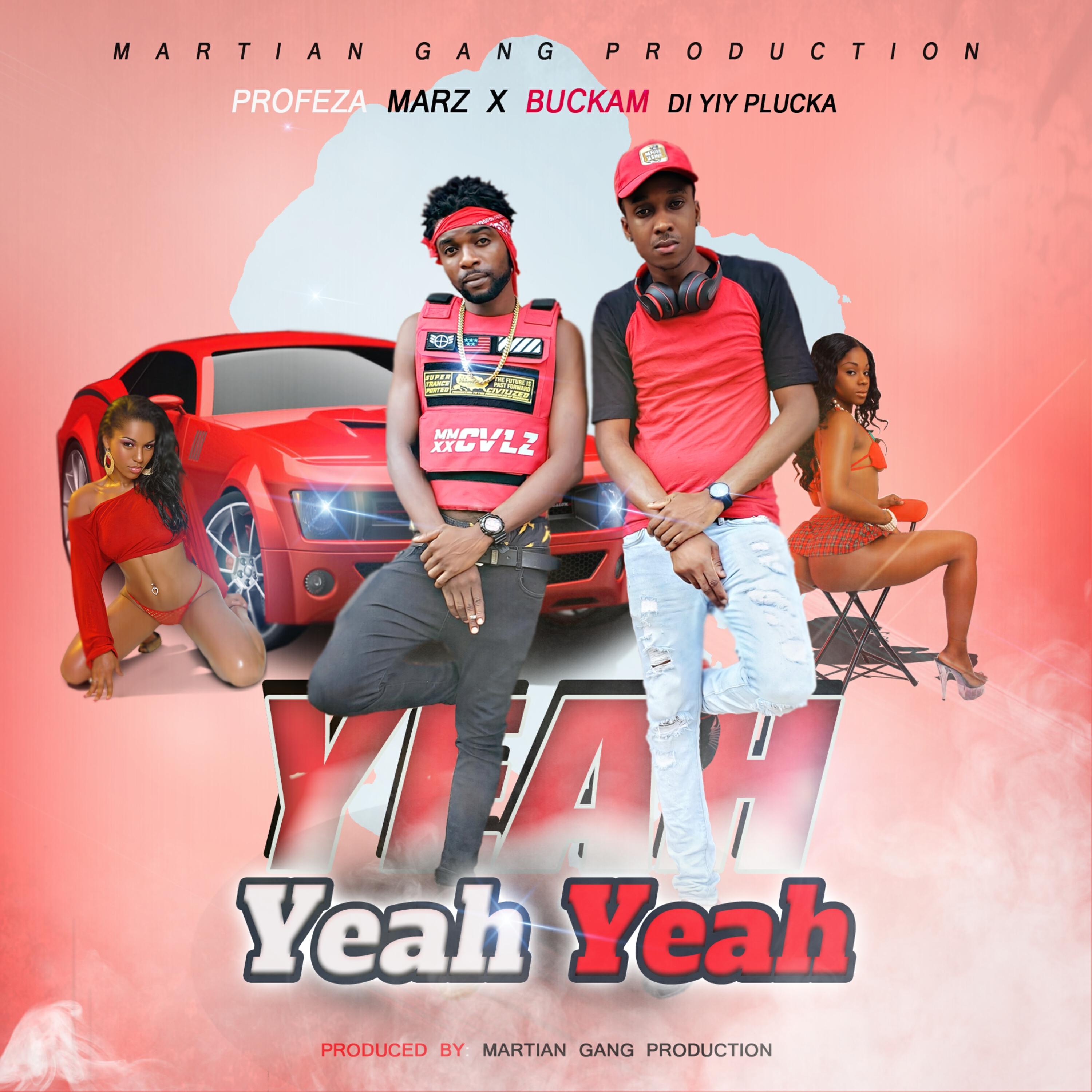 Релиз Yeah Yeah Yeah