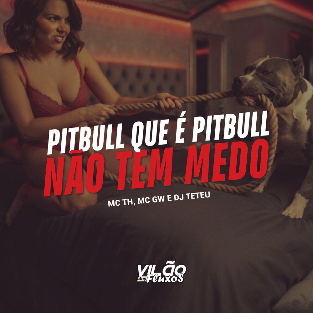 Релиз Pitbull Que É Pitbull Não Tem Medo