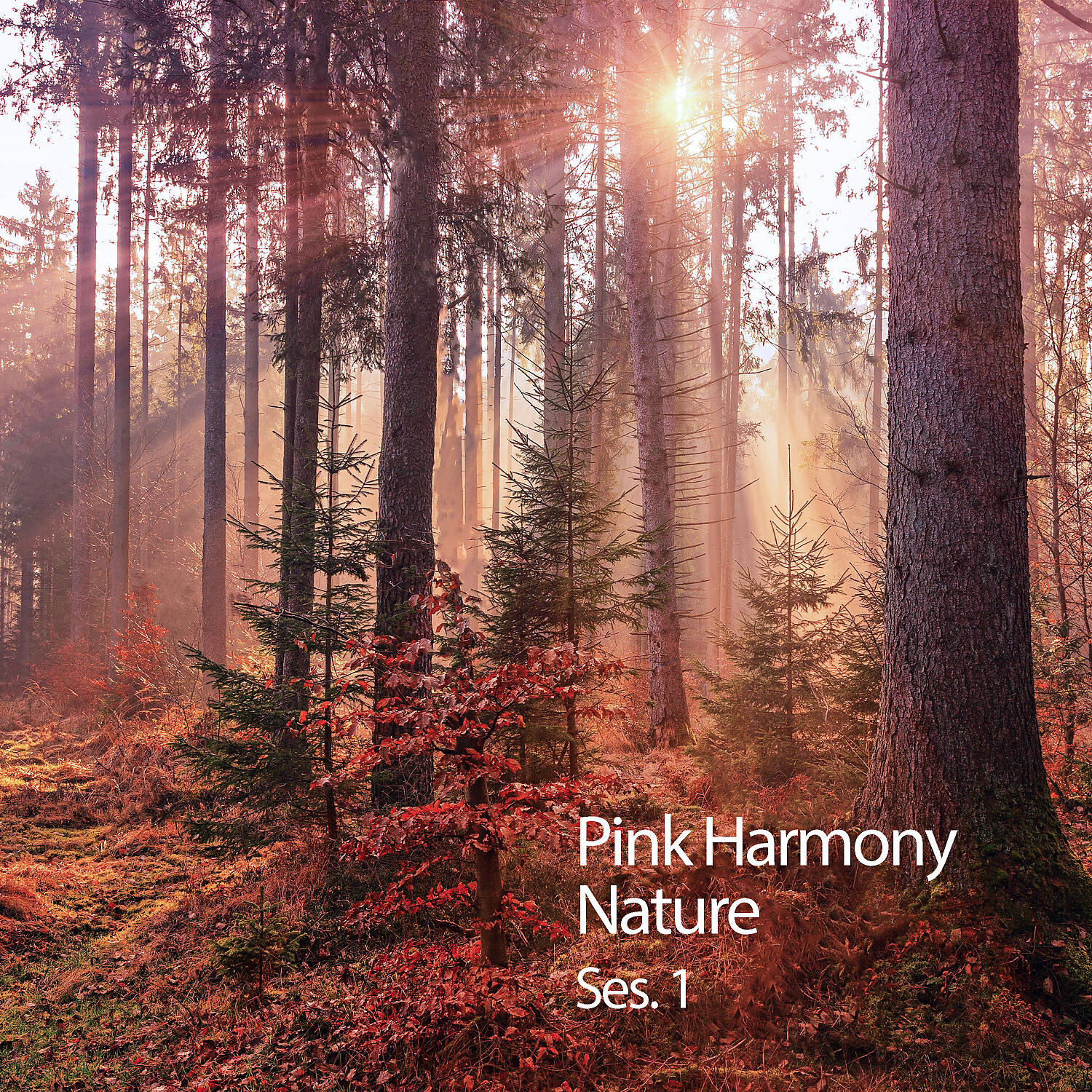 Music For Dogs & Work Music & Sleep Music Guys - Calming Music