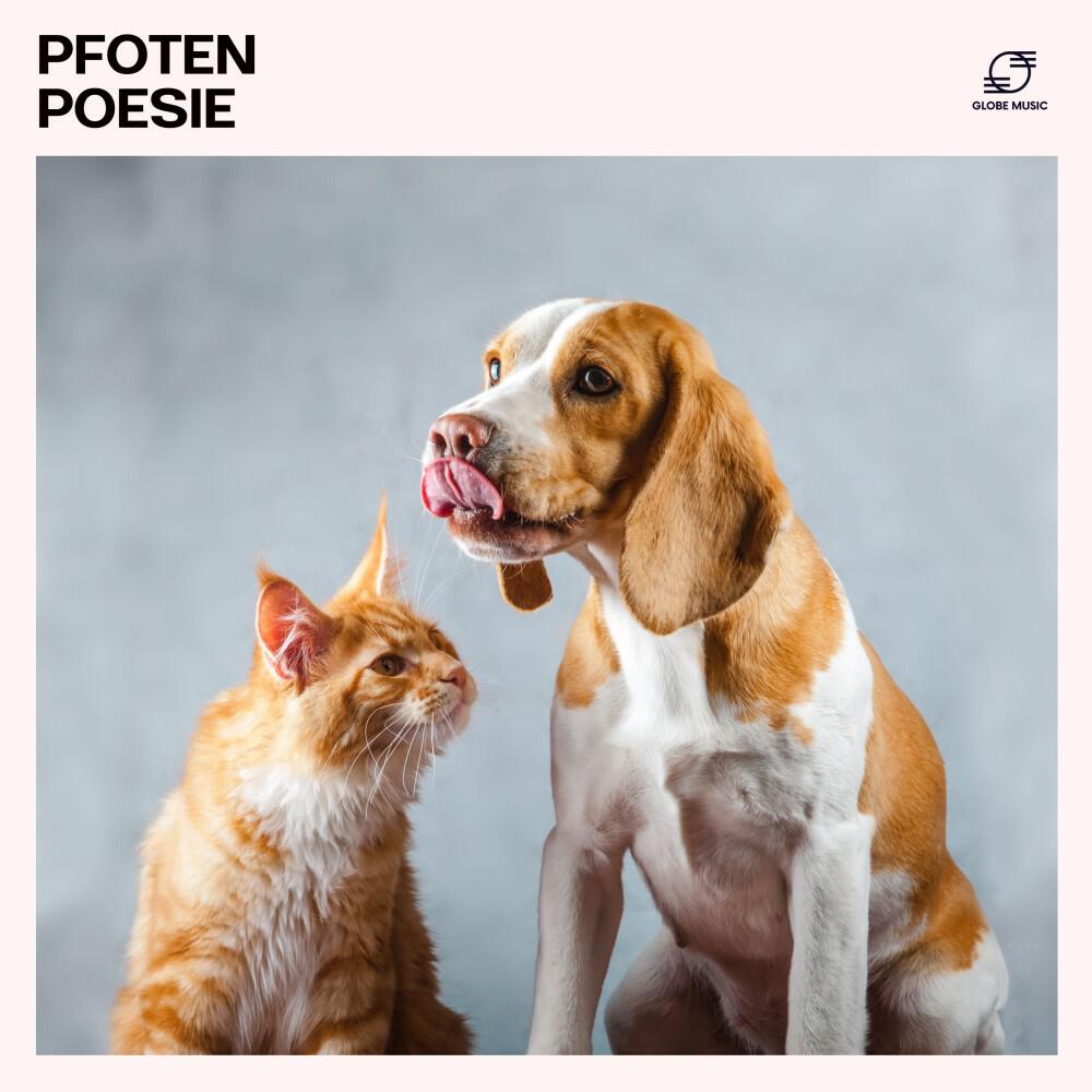 Релиз Pfotenpoesie