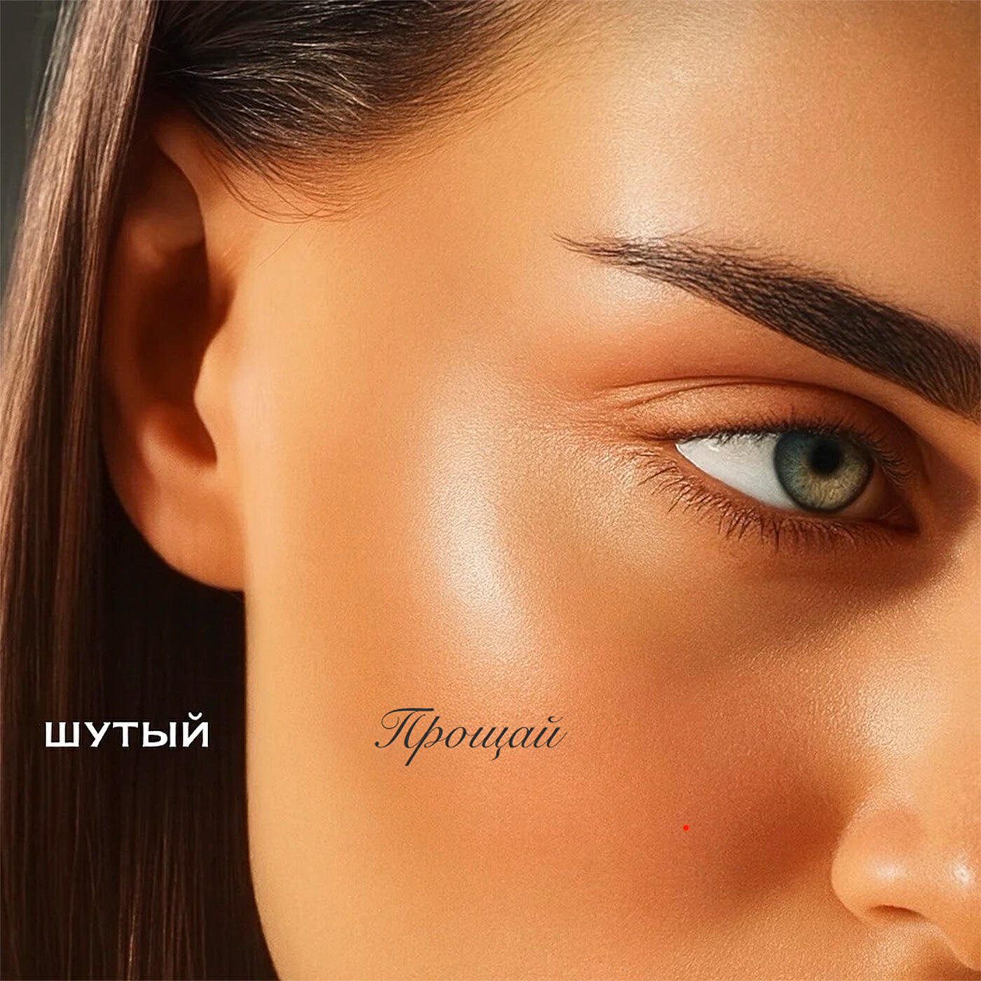 Релиз Прощай
