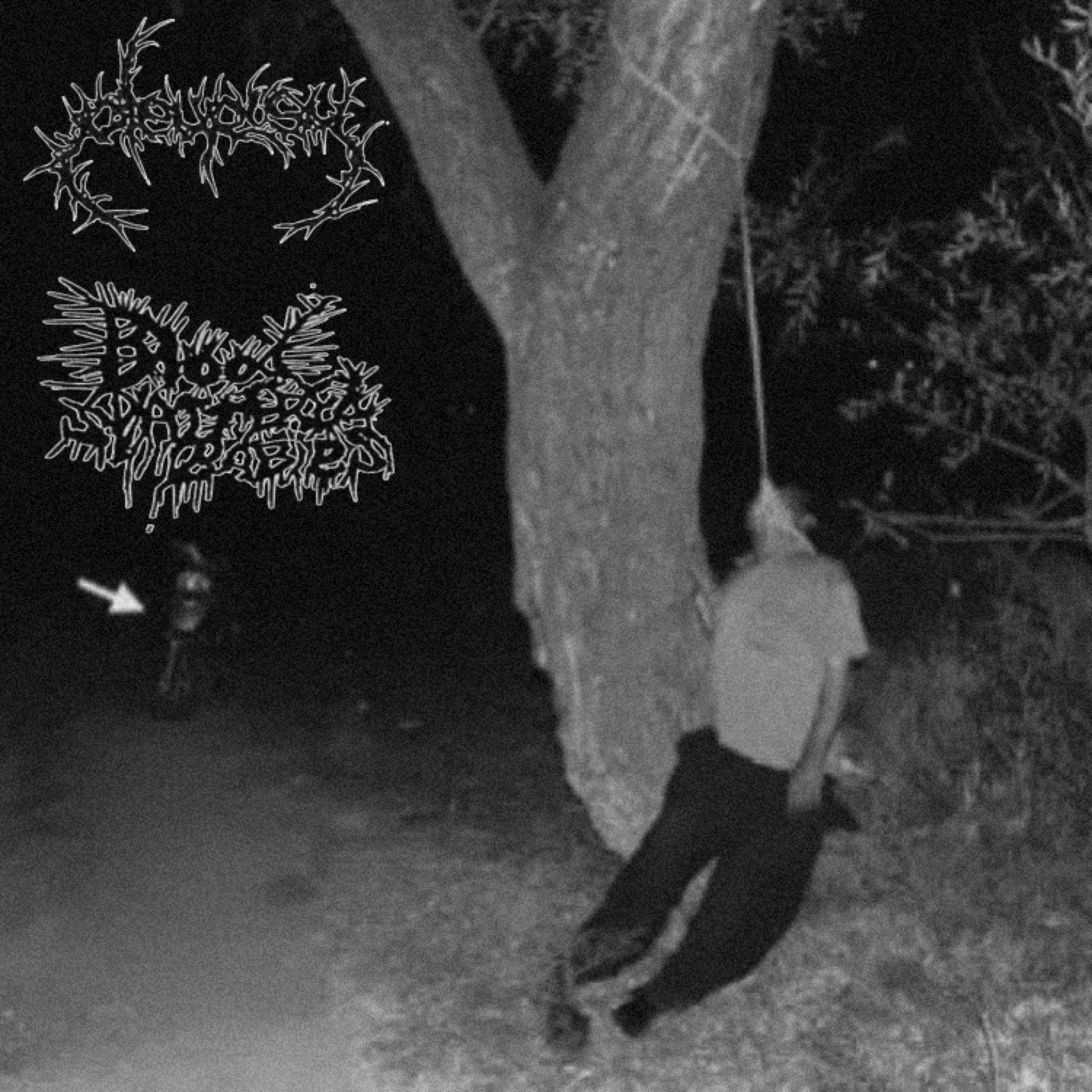 Релиз Split w/ Pleurisy