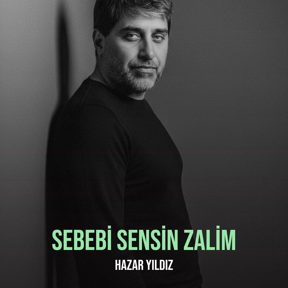 Релиз Sebebi Sensin Zalim