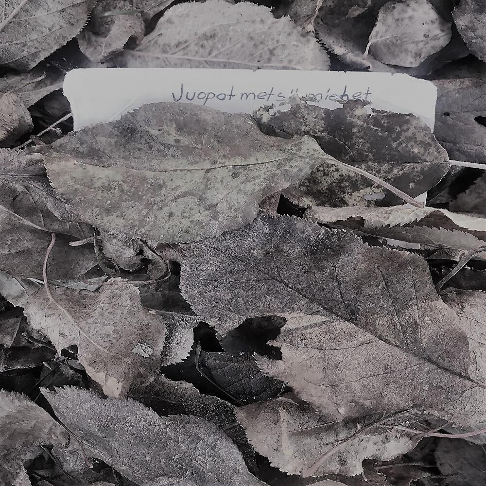 Релиз Juopot metsämiehet
