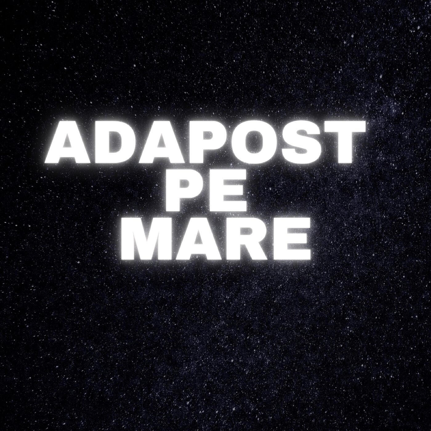 Релиз Adapost Pe Mare