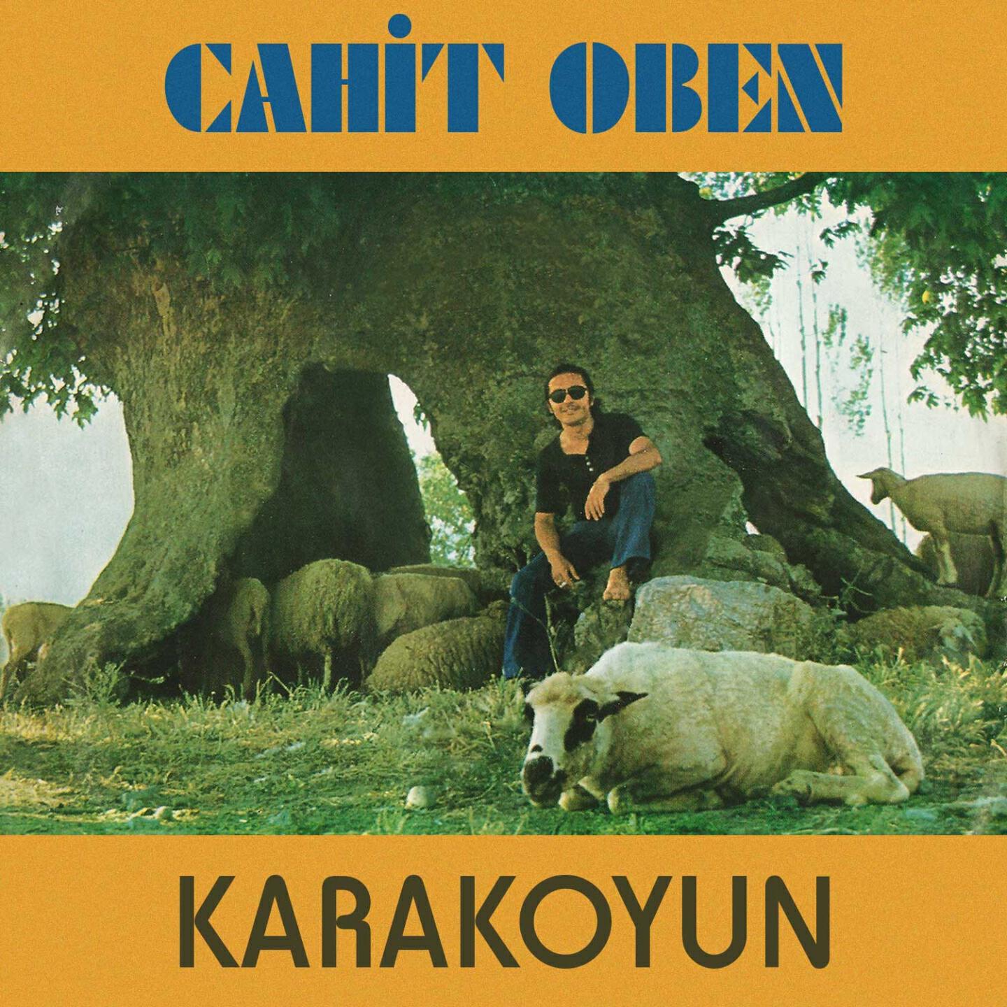 Релиз Karakoyun