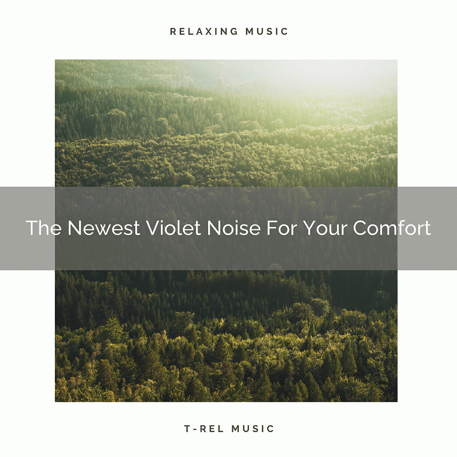 Релиз The Newest Violet Noise For Your Comfort