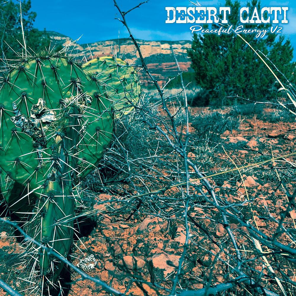 Релиз Desert Cacti: Peaceful Energy V2