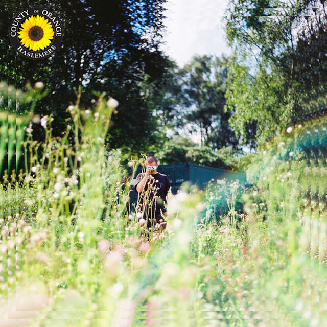 Релиз Sunflower