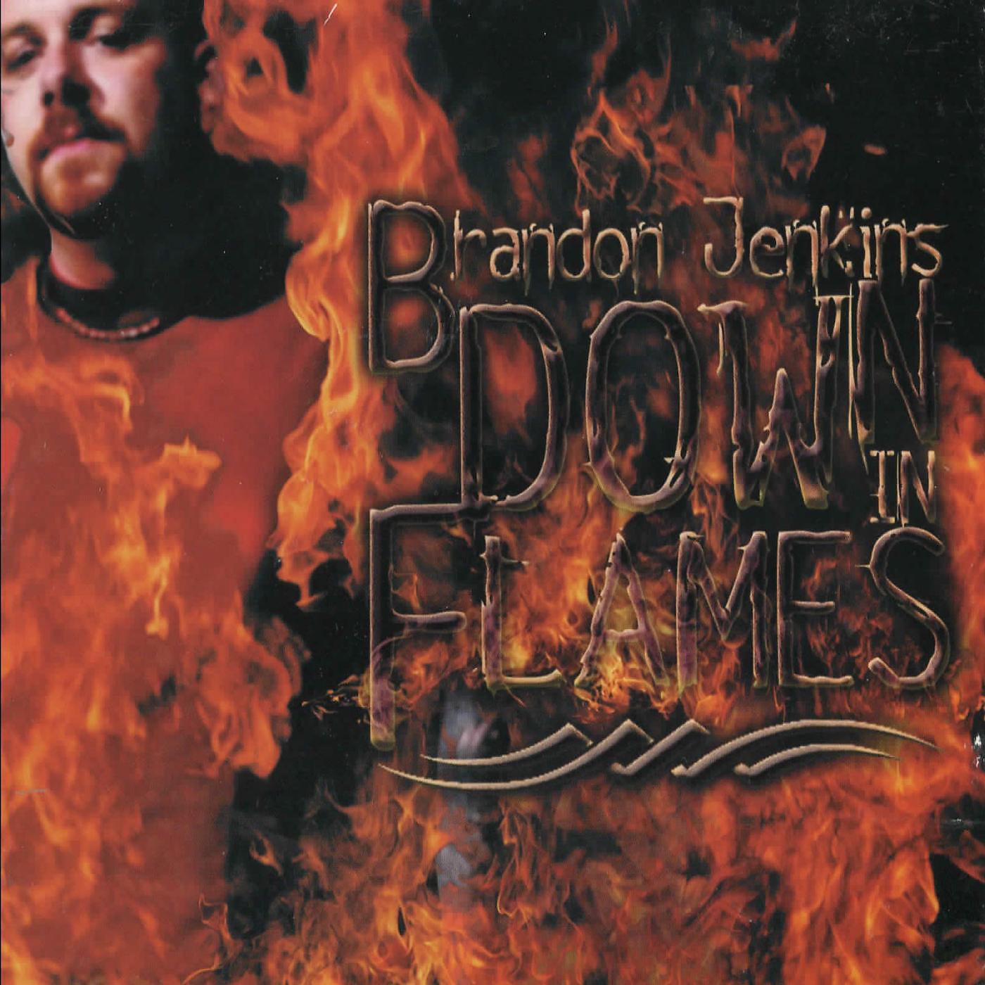 Релиз Down in Flames