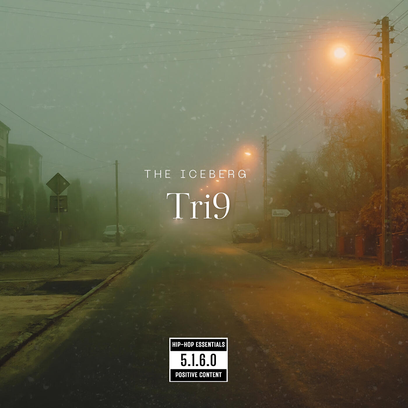 Постер альбома Tri9