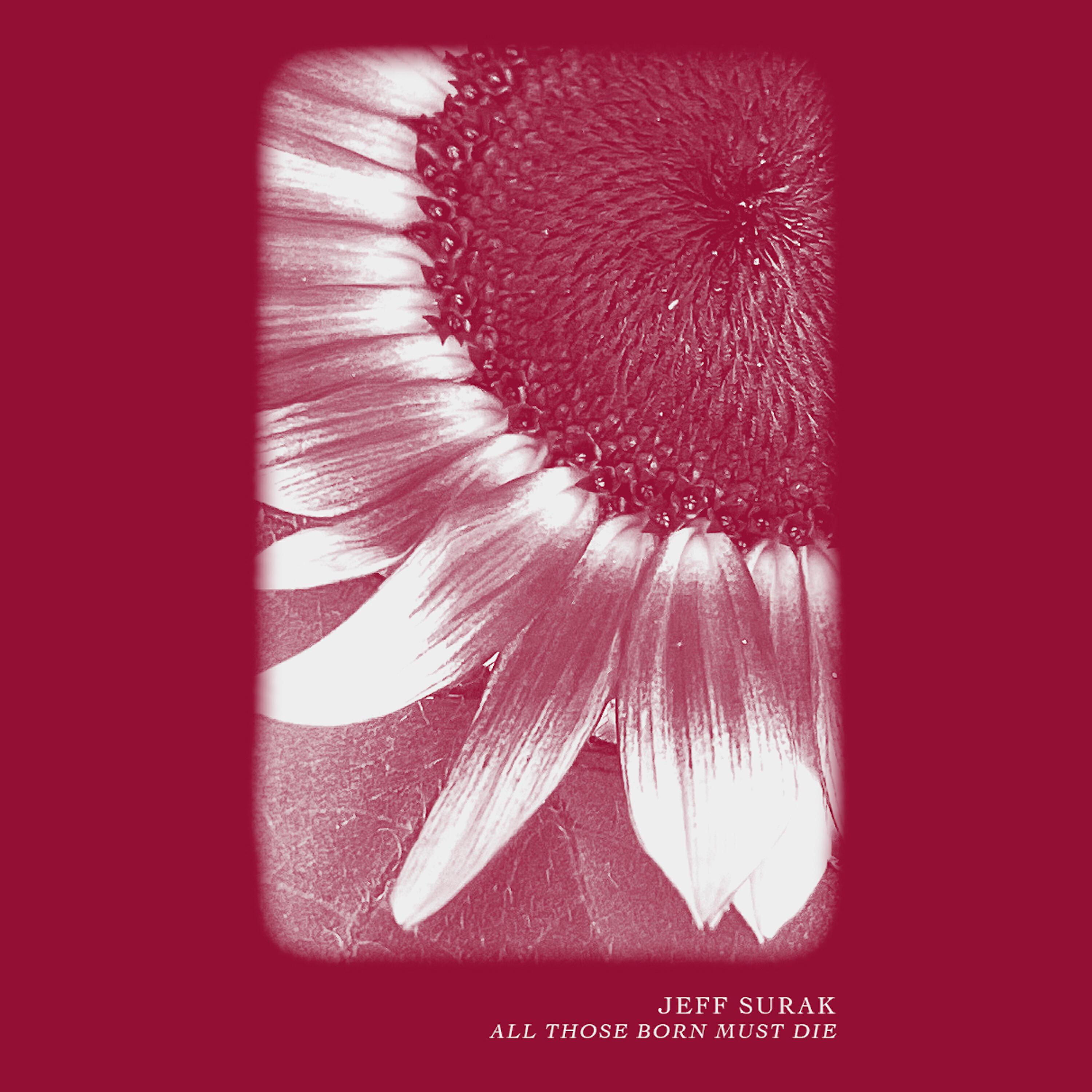 Релиз All Those Born Must Die
