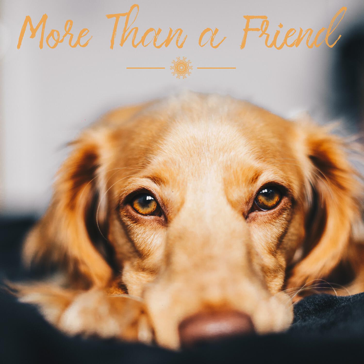 Релиз More Than a Friend