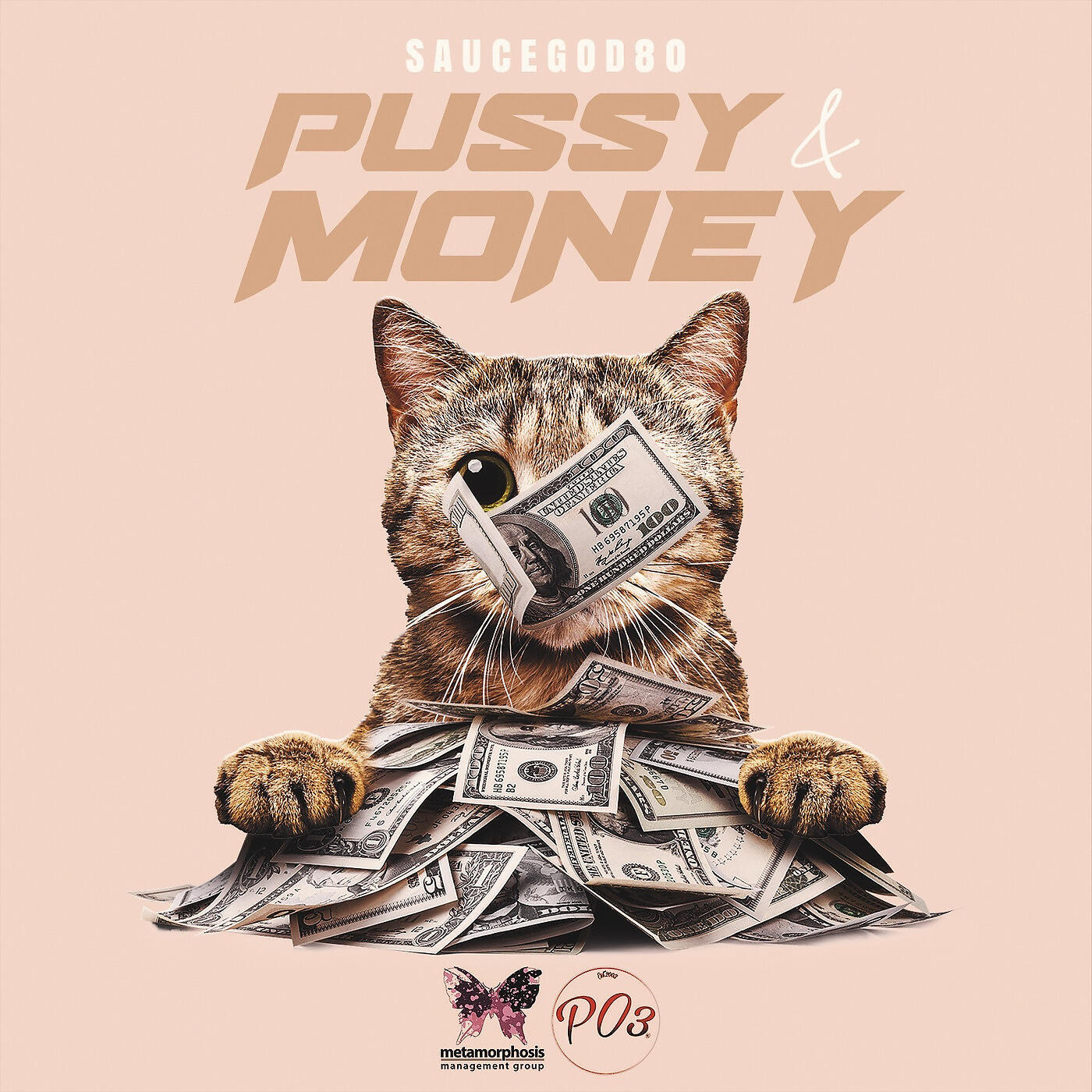 Релиз Pussy & Money