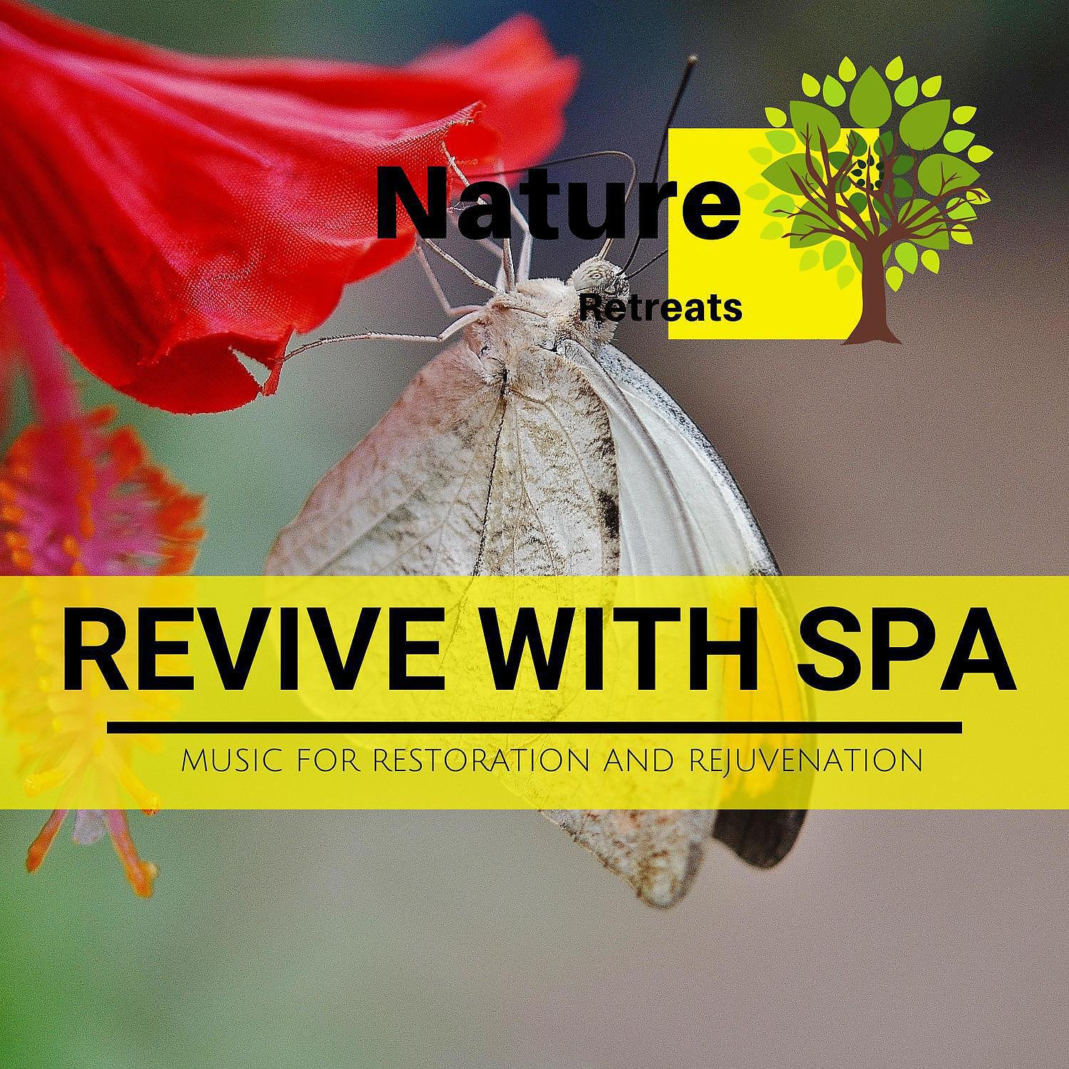 Релиз Revive with Spa - Music for Restoration and Rejuvenation