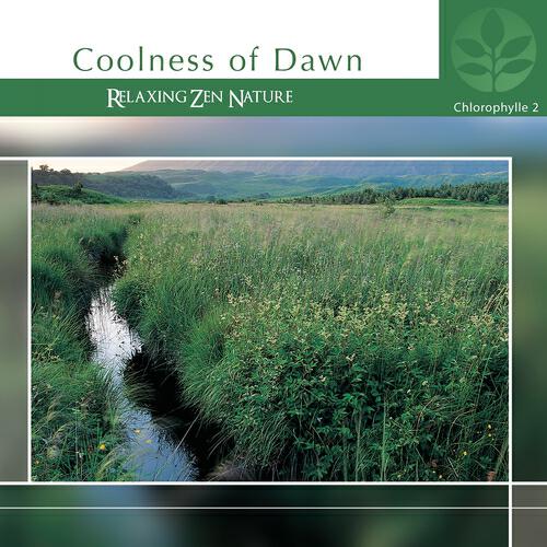 Релиз Chlorophylle II Coolness of Dawn