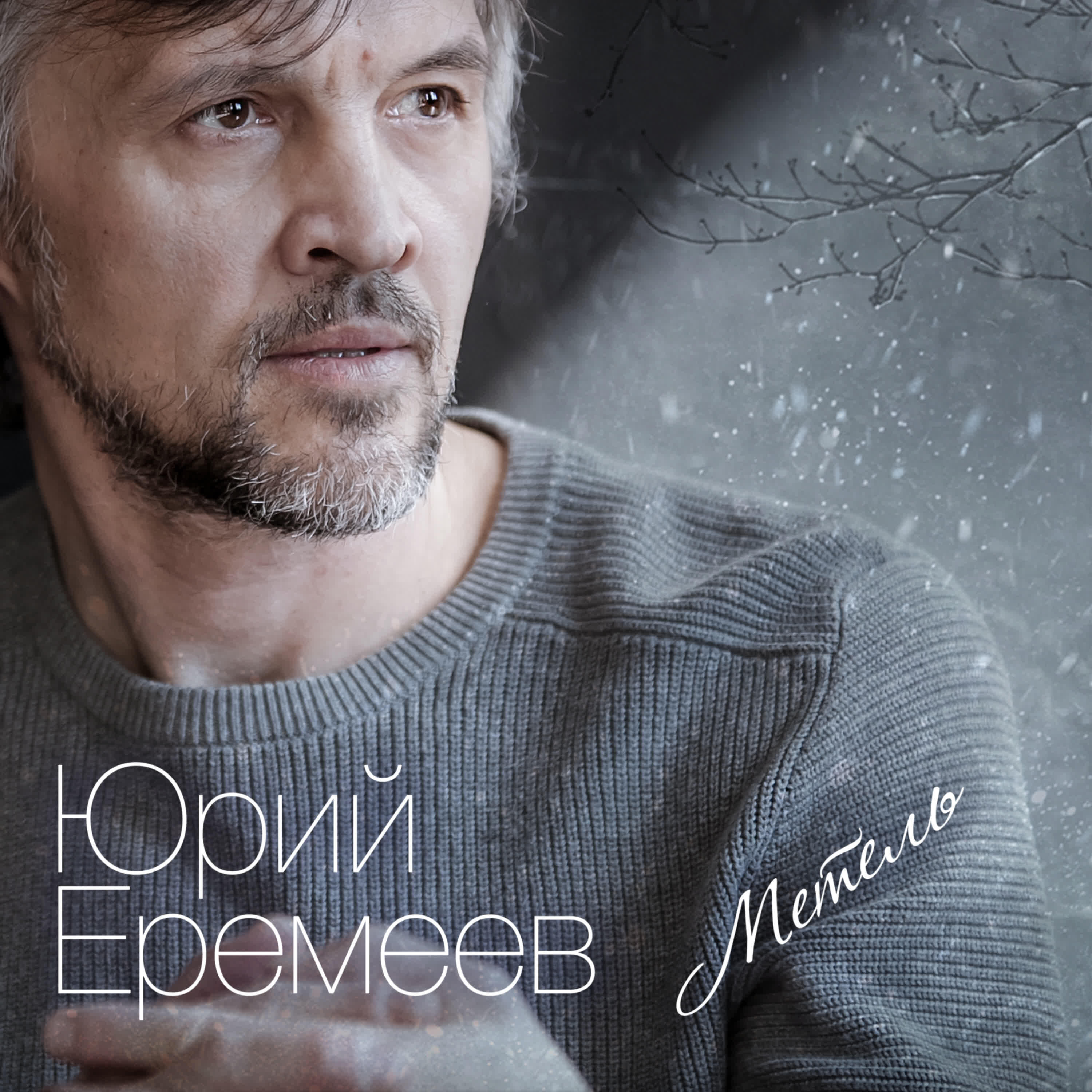 Релиз Метель