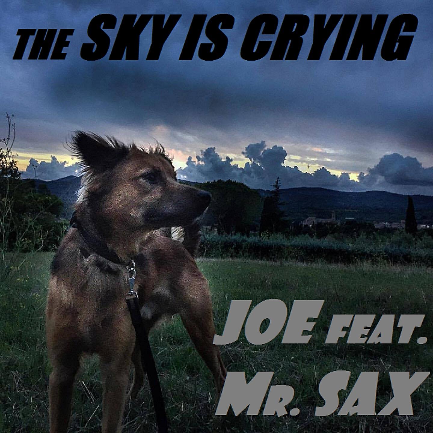 Релиз The Sky Is Crying