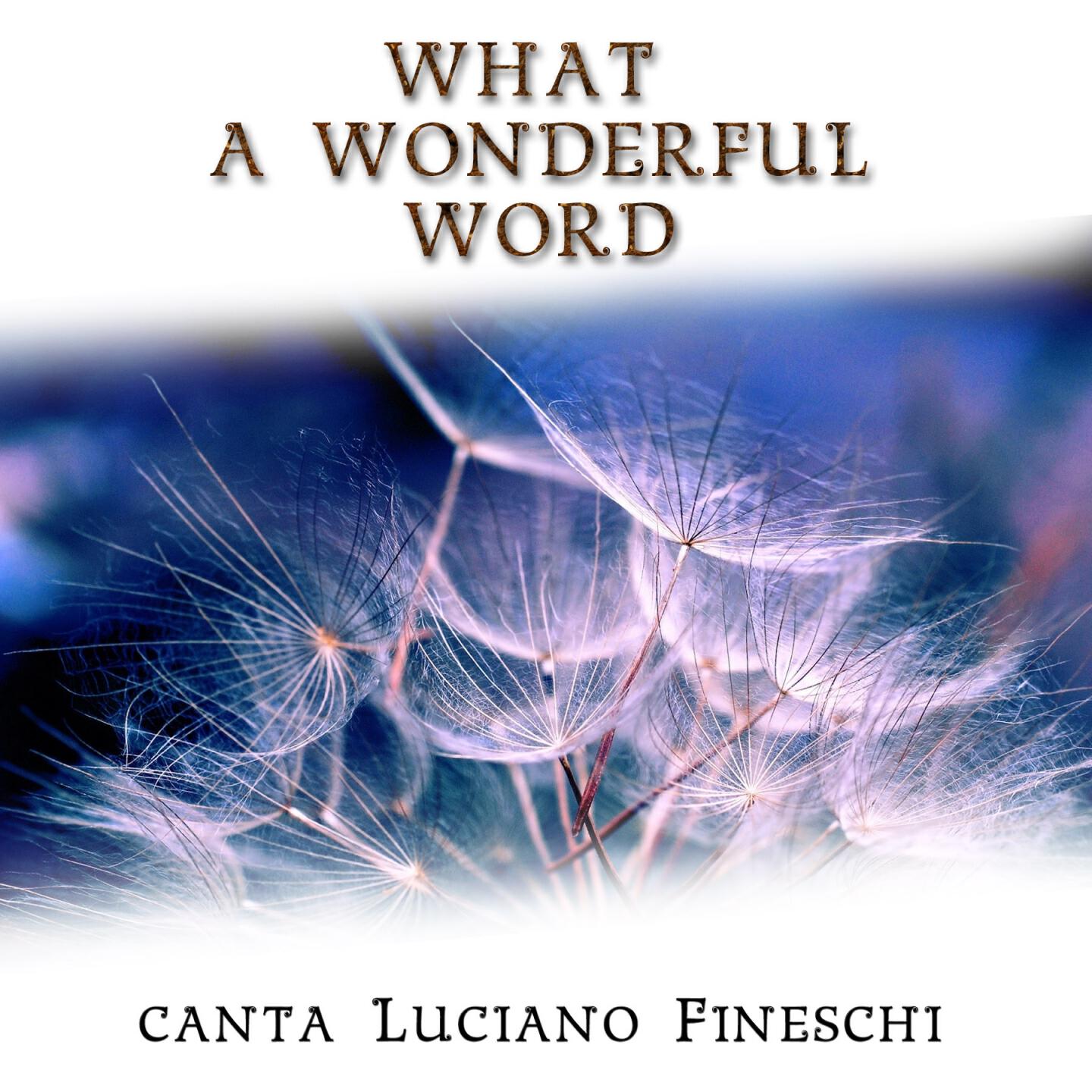 Luciano Fineschi
