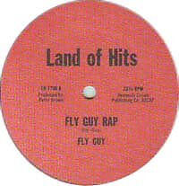 Fly Guy