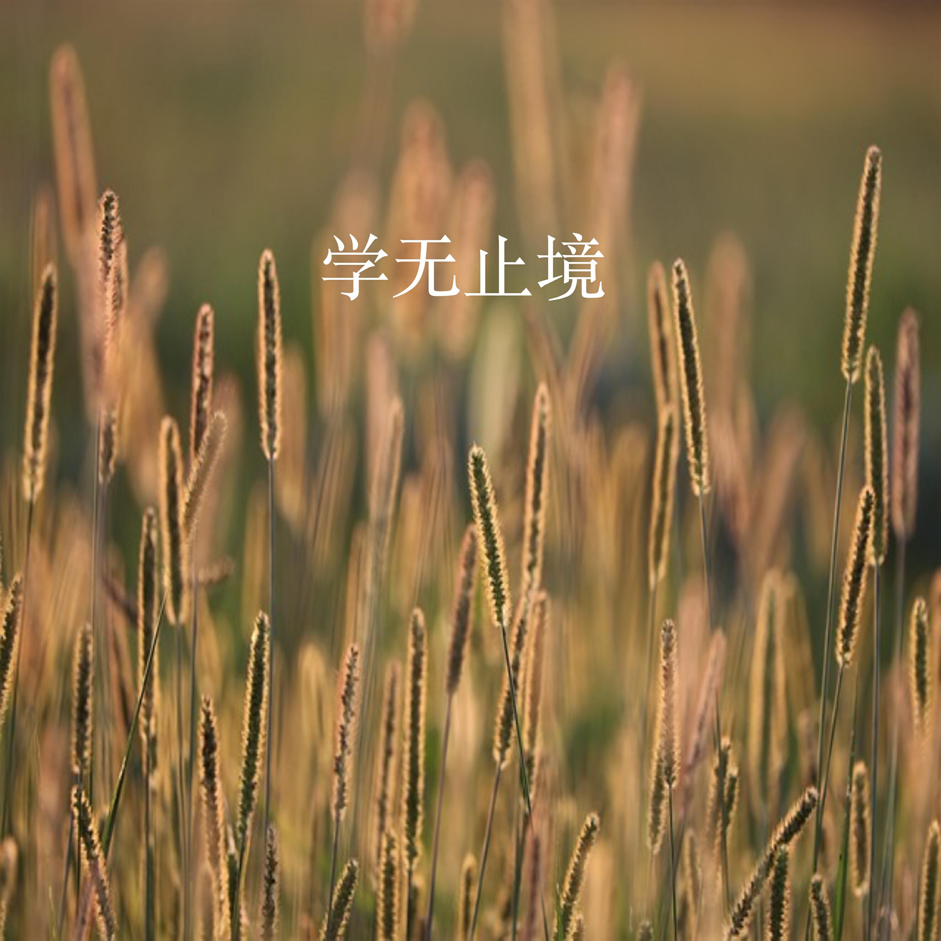 郑兴