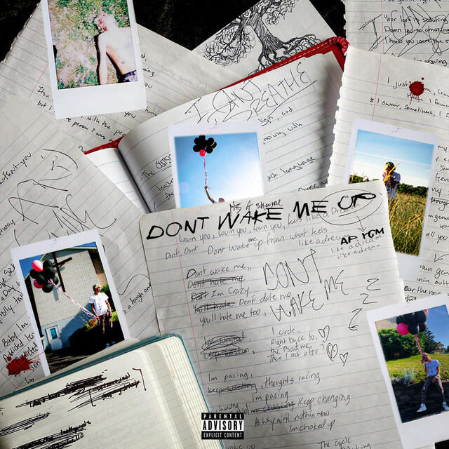 Релиз Don't Wake Me Up