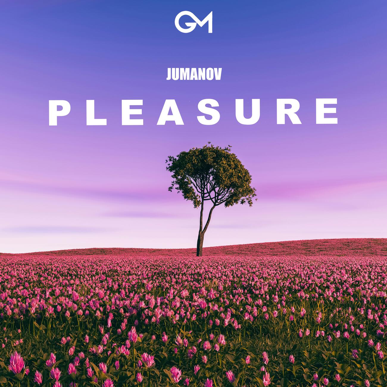 Релиз Pleasure