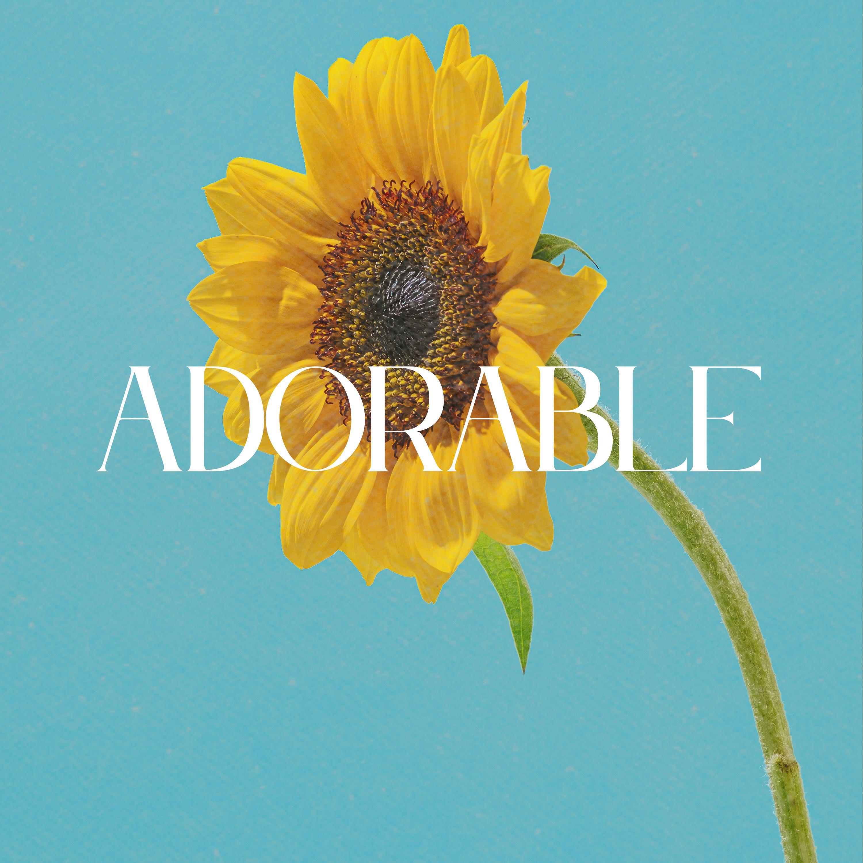 Релиз Adorable