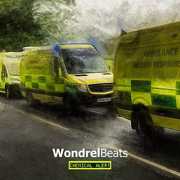 Скачать песню WondrelBeats & 2blab - Chemical Alert бесплатно в MP3 для Android и iOS