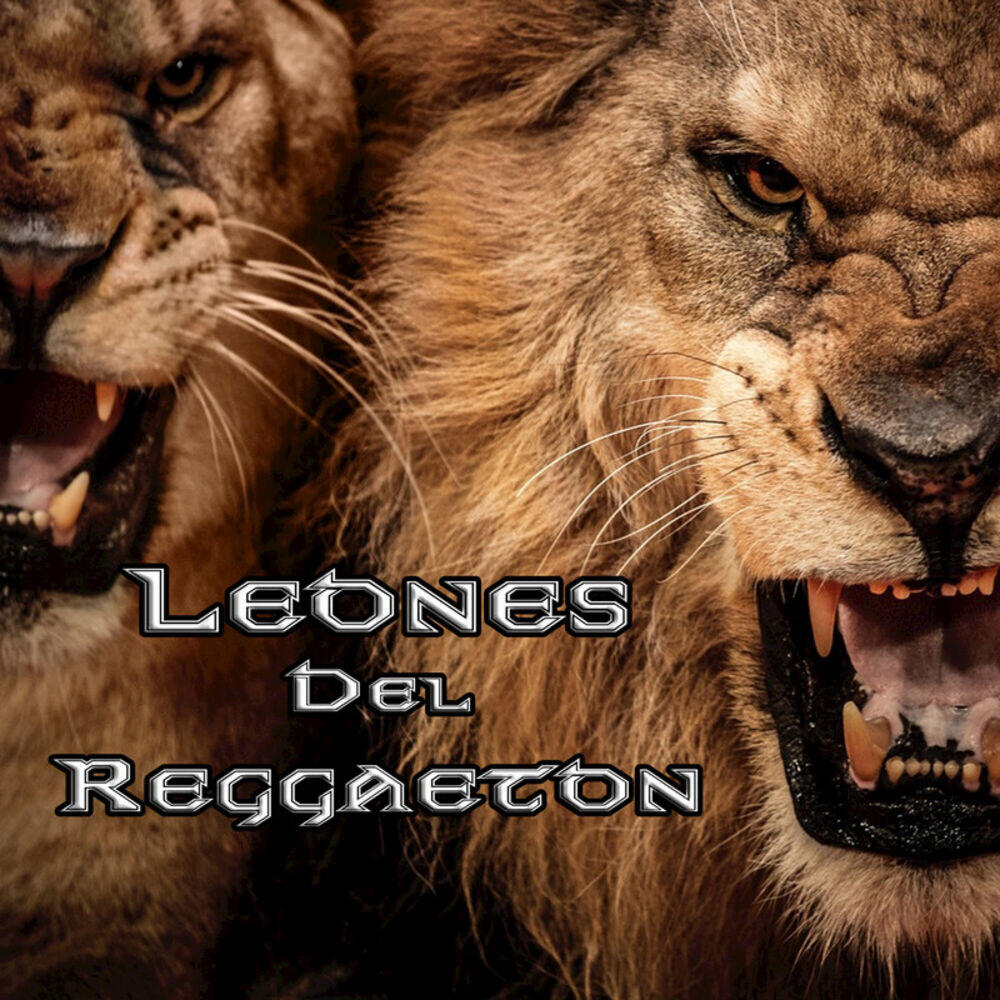 Релиз Leones Del Reggaeton