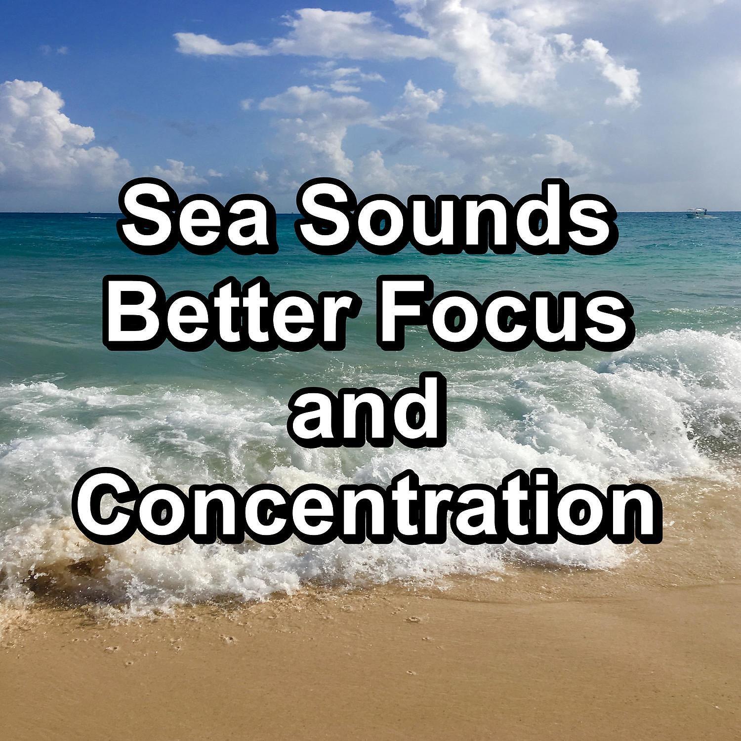 Релиз Sea Sounds Better Focus and Concentration