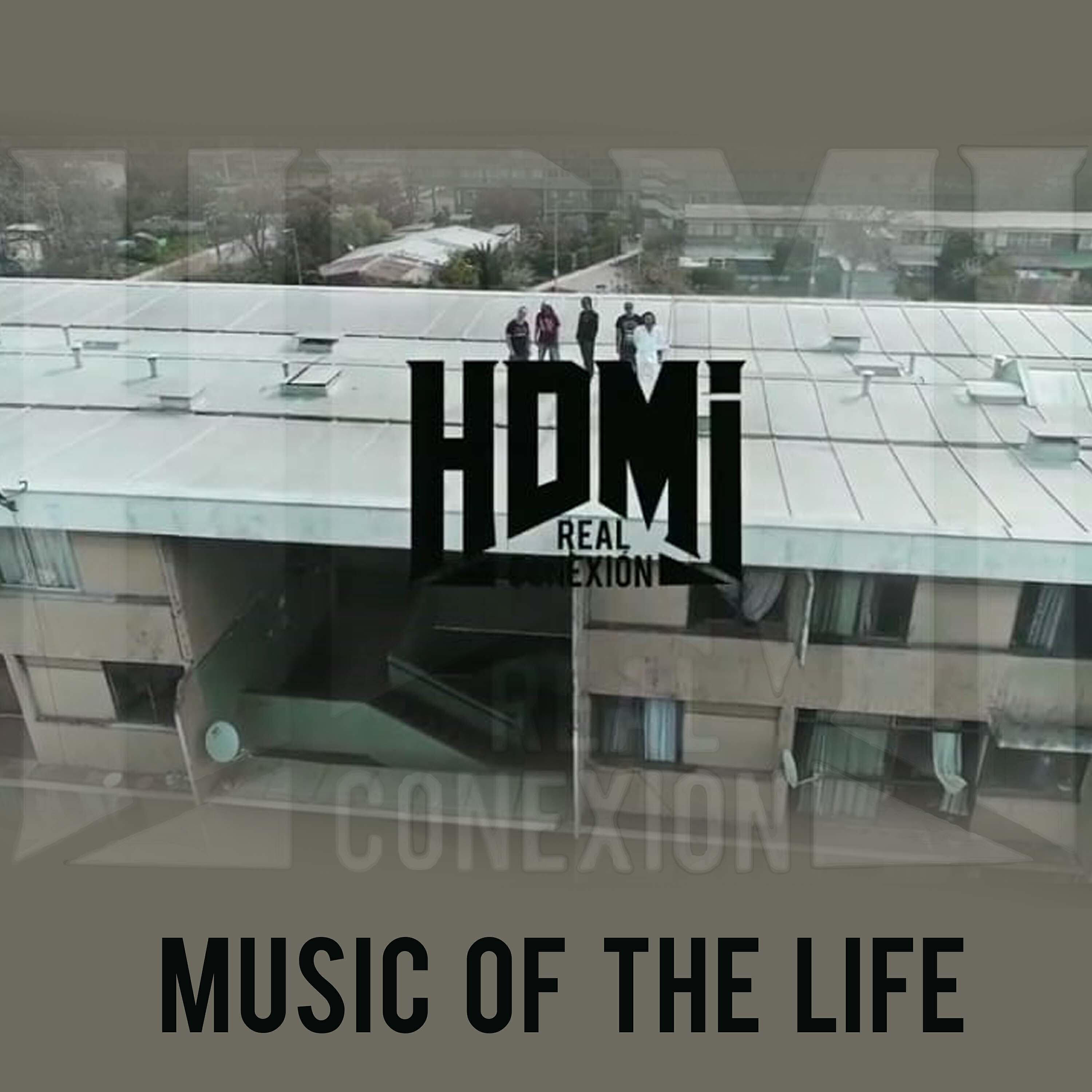 Релиз Music Of The Life