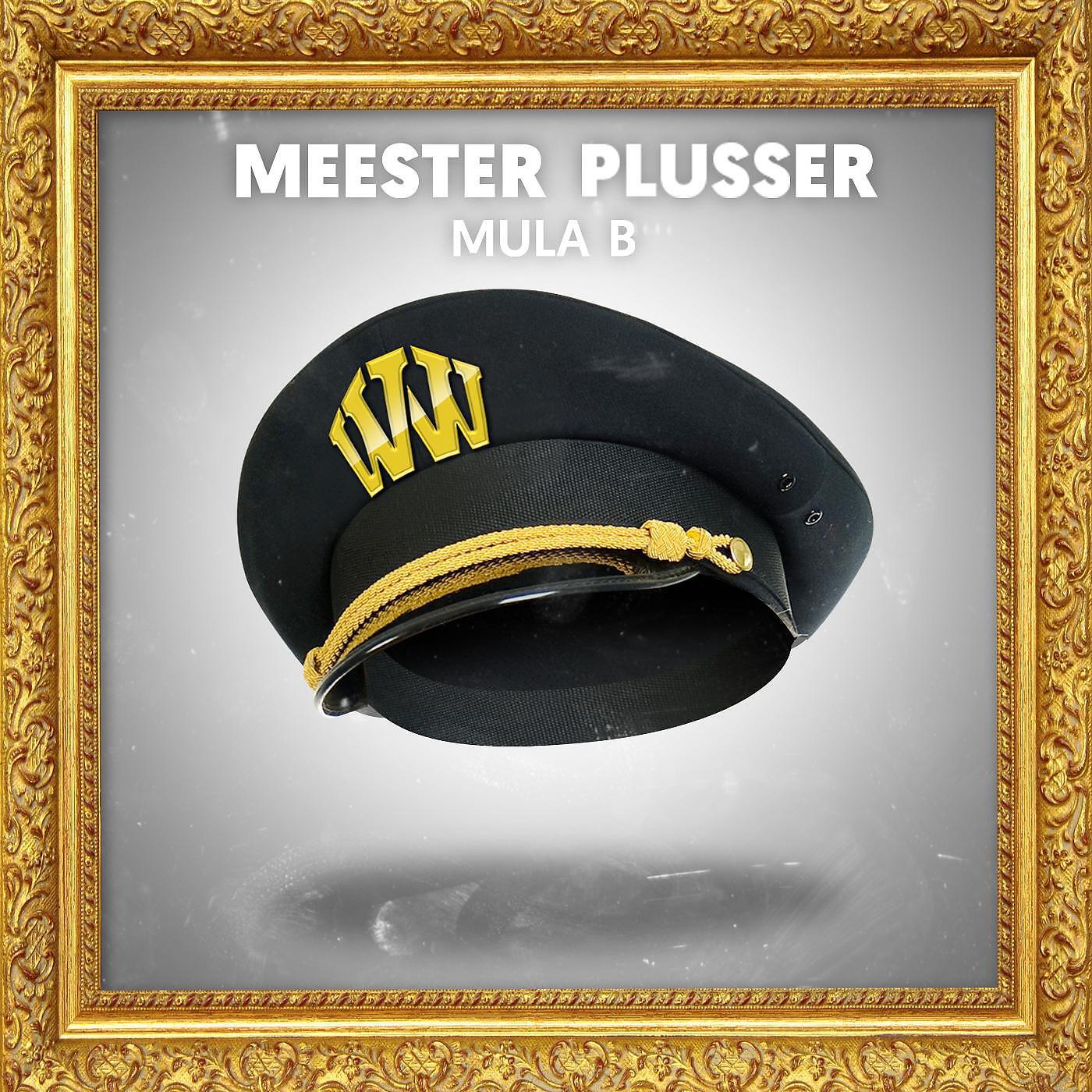Релиз Meester Plusser