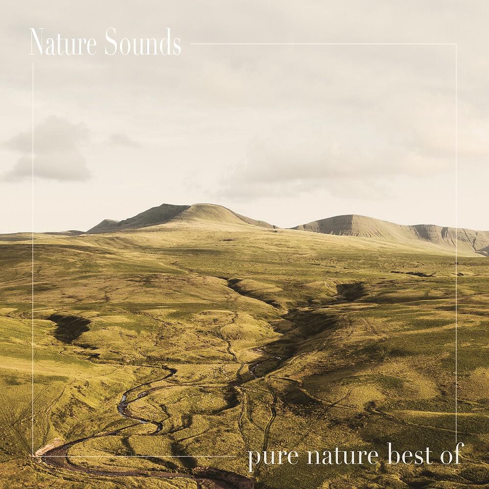 Релиз Pure Nature Best Of