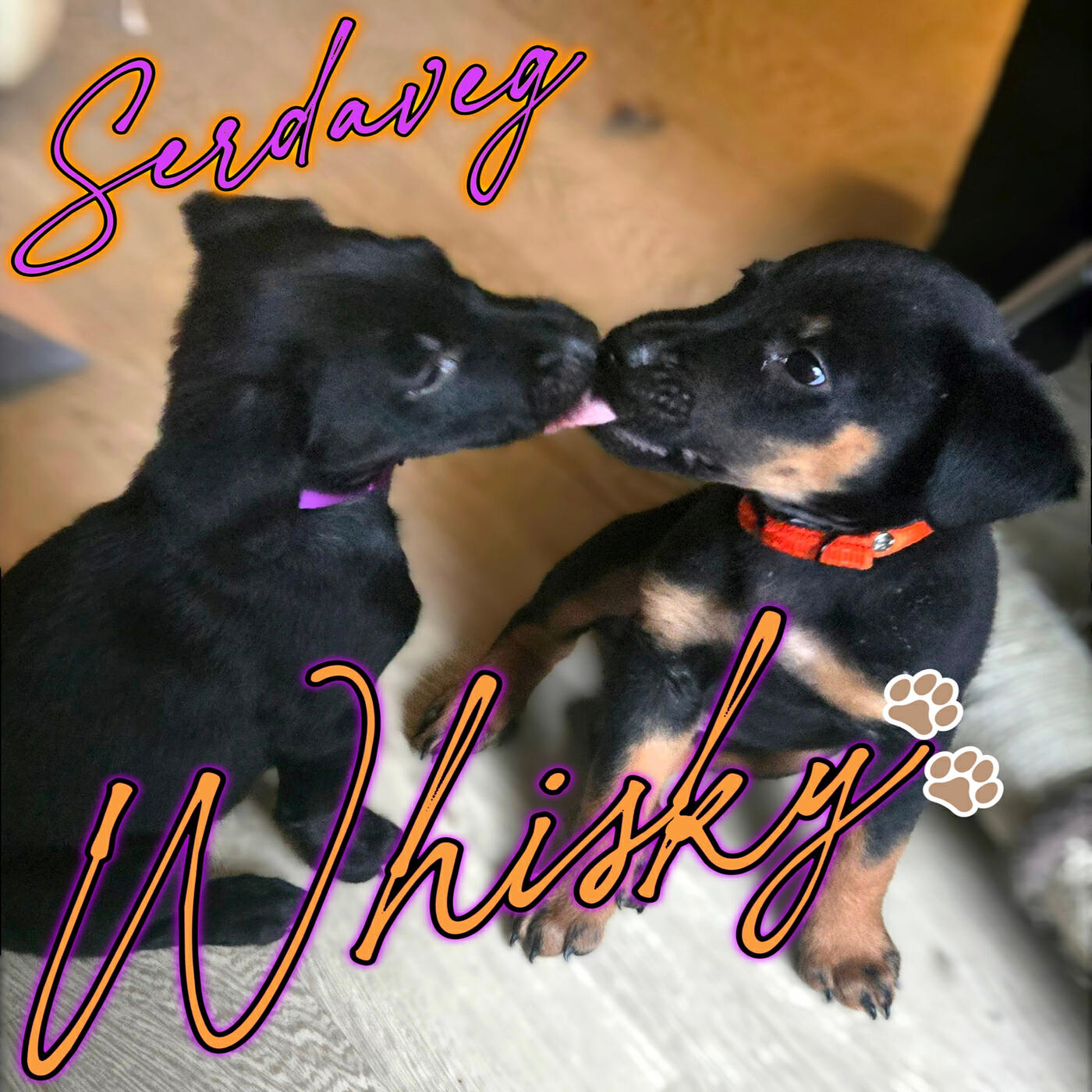 Релиз WHISKY