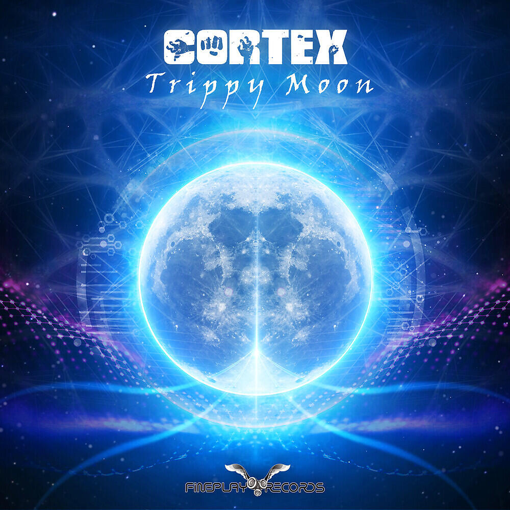 Постер альбома Trippy Moon