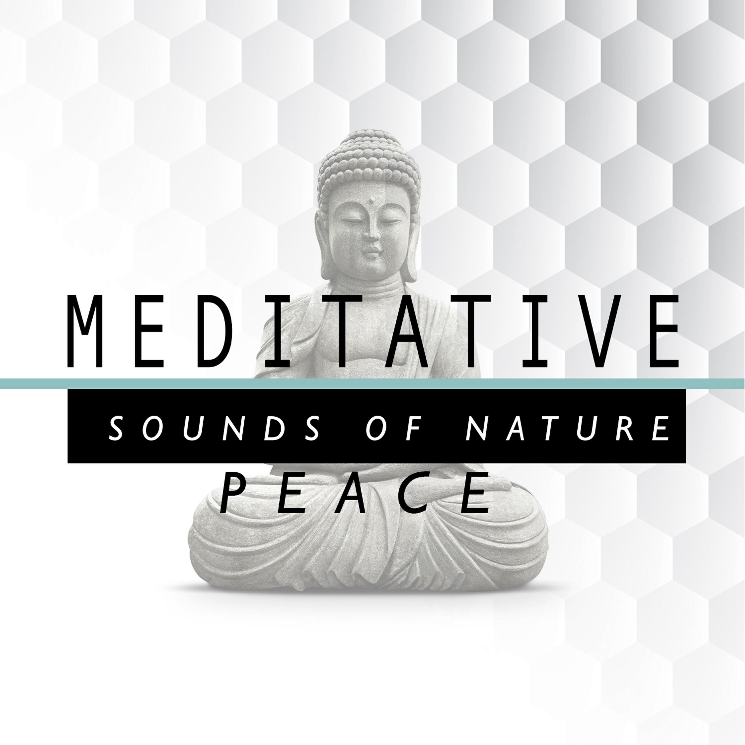 Постер альбома Meditative Sounds of Natural Peace